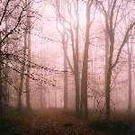 winter morning